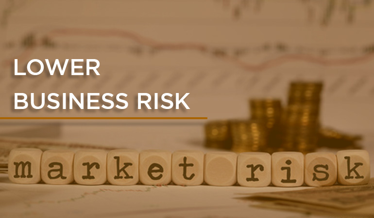 Business Risk