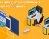 5 Reasons Why Custom Software is Important for Business