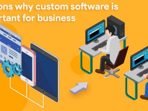 why custom software is important for business