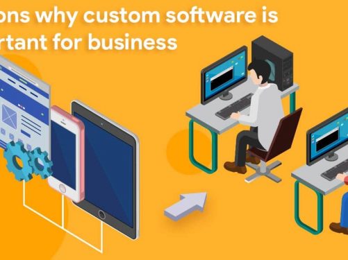why custom software is important for business