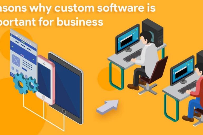 why custom software is important for business