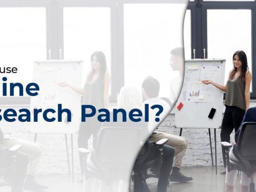 How to Use Online Research Panel