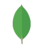 mongodb
