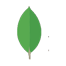 mongodb